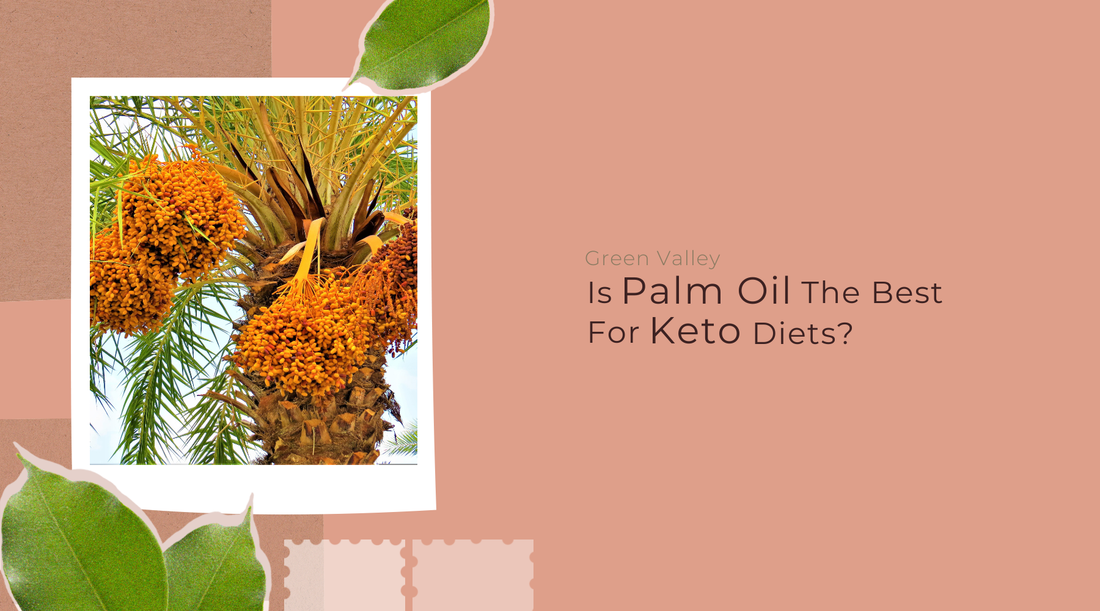 Is Palm Oil The Best Oil For Keto Diets?