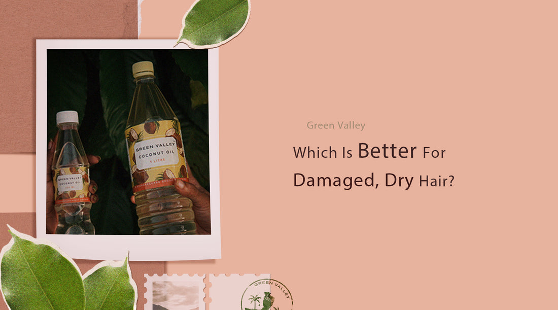 Which Is Better For Damaged, Dry Hair—Flax Or Coconut Oil?