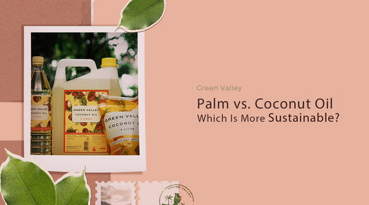 Palm vs. Coconut Oil : What’s the More Sustainable Choice?